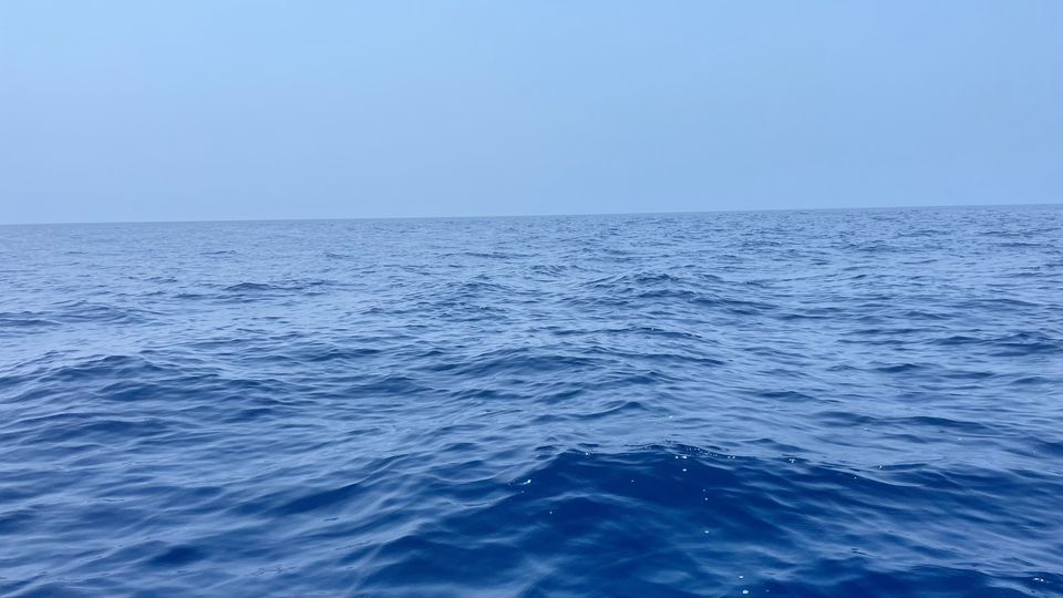 Diving into wilderness